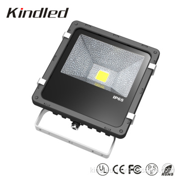 Bridgelex COB 20W LED Flood Light with 3 Years Warranty
